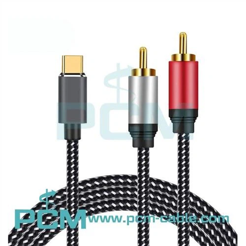 Câble audio USB de type C vers 2 RCA